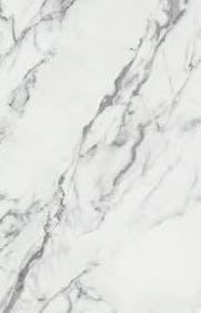 Sichenia Mus_eum Statuario glänzend 59x117,5cm 