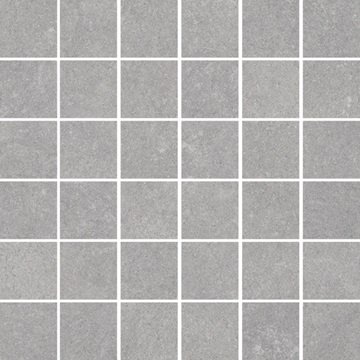 Sichenia Space Mosaik Silver 30x30cm (5x5cm) R10 