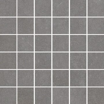 Sichenia Space Mosaik Taupe 30x30cm (5x5cm) R10 