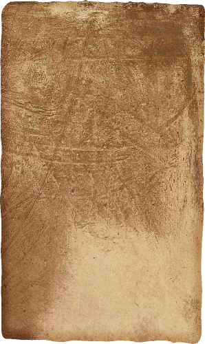 Ermes Aurelia Bodenfliese Cotto 30x50cm 