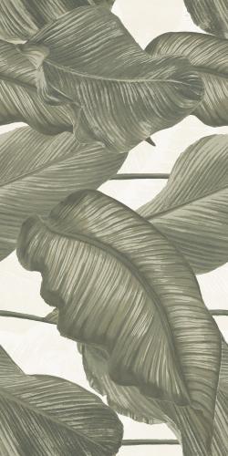 Rondine Ludo Decor Banano Wandfliese 60x120cm rektifiziert 