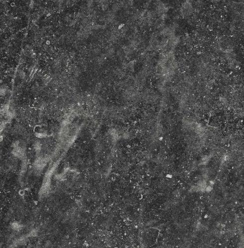 Colorker Feinsteinzeugfliese Kainos Shadow 59,5x59,5cm rektifiziert 