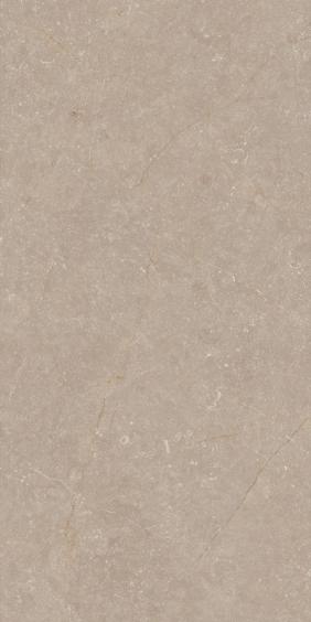 Recer Bodenfliese Bluenza Earth Clay 59,8x119,8cm rektifiziert 