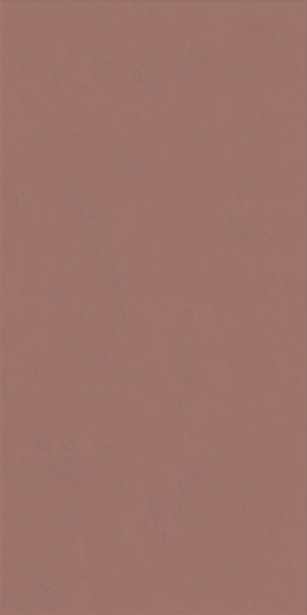 ABK Ceramiche Wandfliese Wide & Style Mini Paprika 59,6x119,4cm rektifiziert 