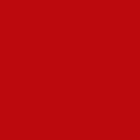 Recer Projectos Vermelho M300 20x20cm 