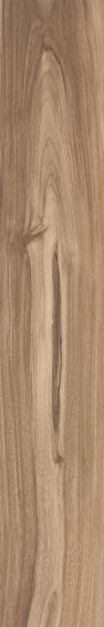 Caesar Hike Holzoptik Bodenfliese Lumber 20x120cm rektifiziert 