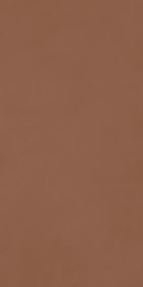 Ragno Decora Terracotta 60x120 cm rektifiziert 