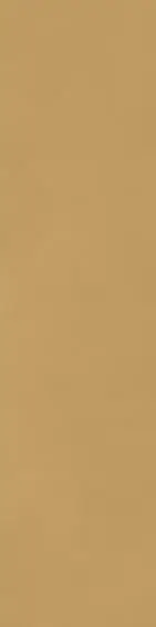 Ragno Decora Senape 30x120 cm rektifiziert 